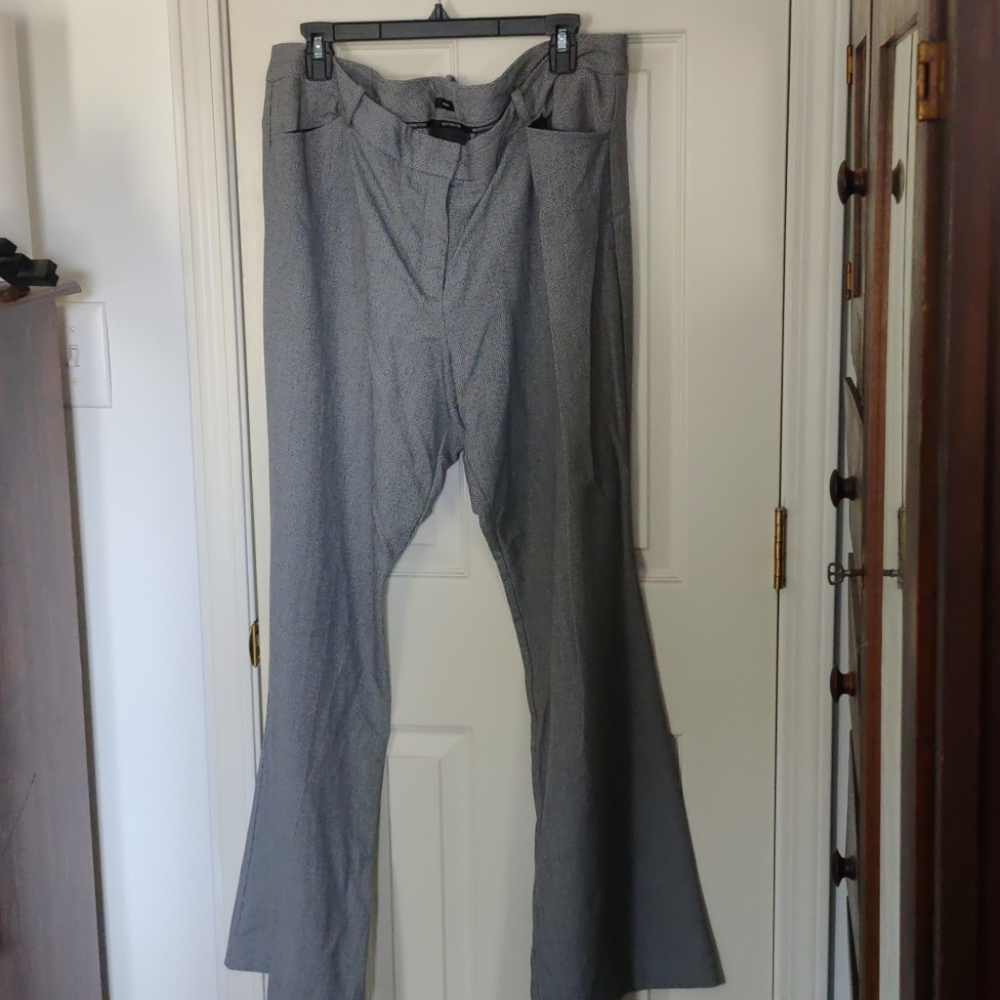 Dress Pants